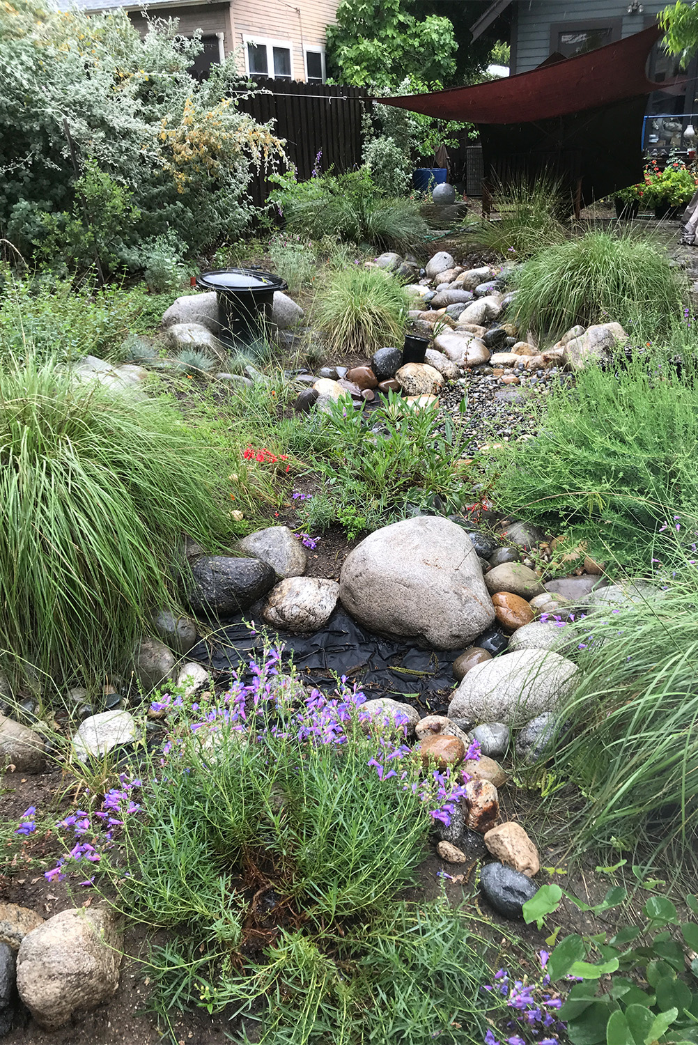 The Theodore Payne Native Garden Tour Is a MustDo This Spring