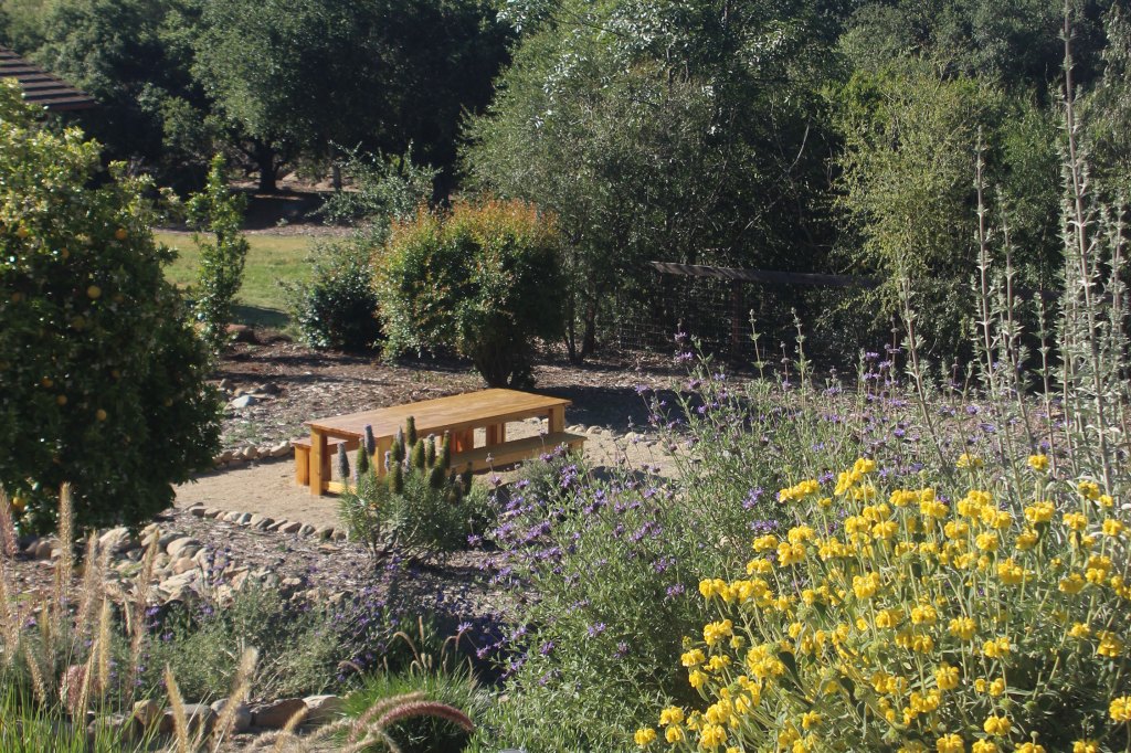 How to Design a Backyard That Feels 10 Degrees Cooler