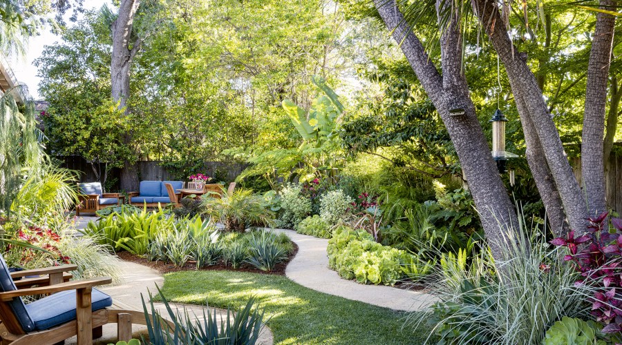 A Pro's Tips to Design the Edible Garden of Your Dreams