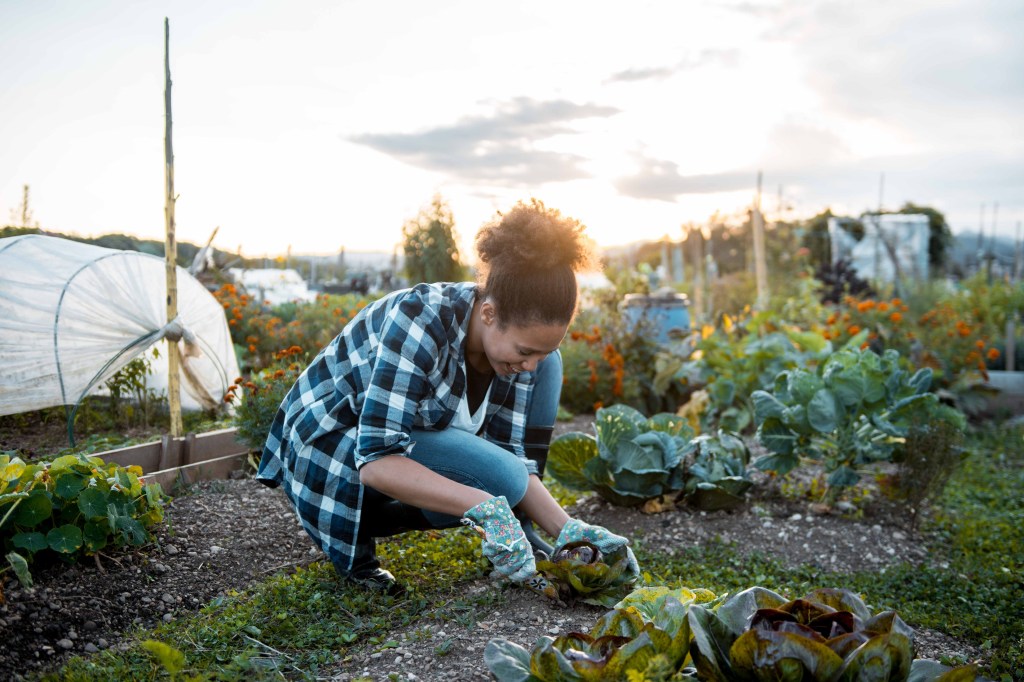 The Best Garden Gloves for Every Type of Gardener