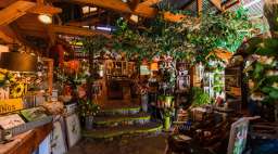 Garden Shed Cambria Interior