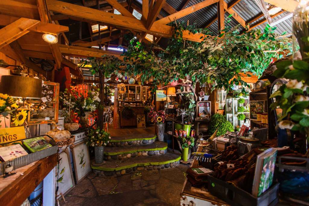 This Underrated California Seaside Town Is a Must-Visit for Plant Lovers