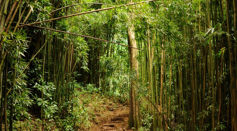 oahu-ghost-tours-honolulu-hi