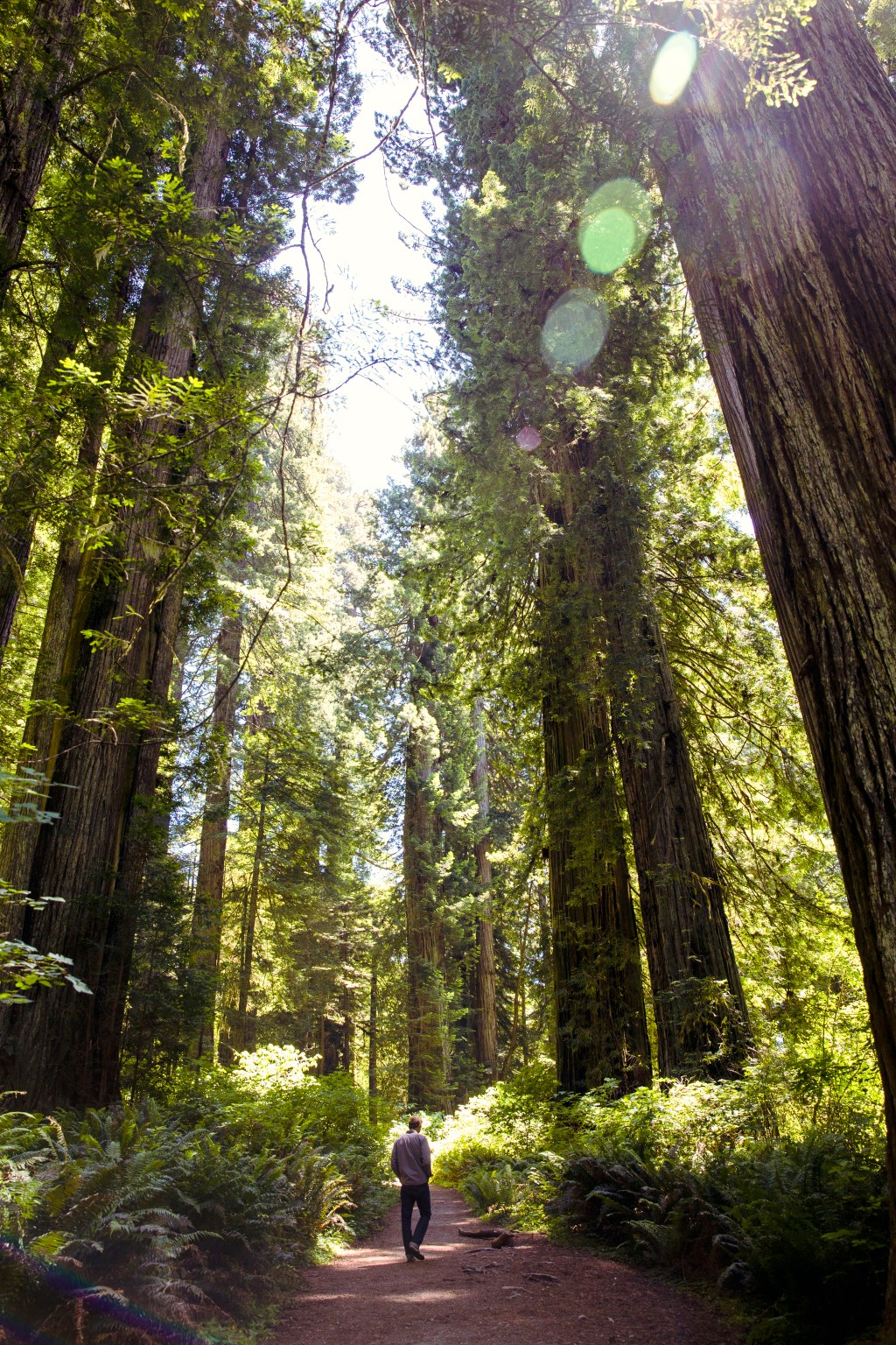 Our Giving Tuesday Picks: Donate to Help These Charities Help the West