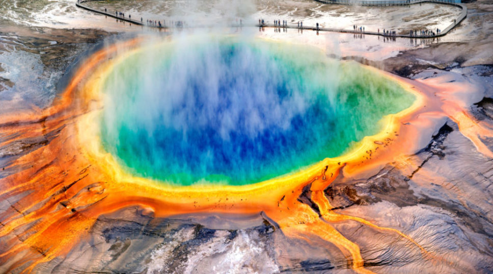 Yellowstone Bans Man Who Tried Cooking Chickens in Park's Hot Springs