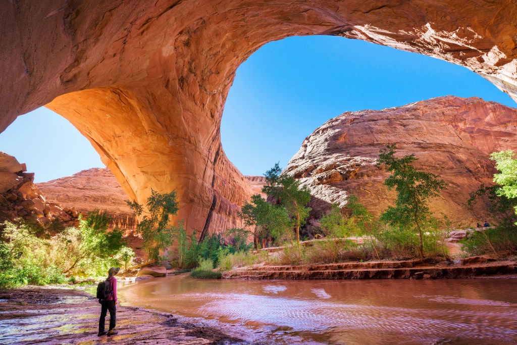 The 12 Best National Monuments in the West, from Ancient Forests to Otherworldly Landscapes