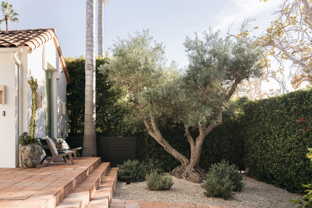 This Is Your Sign to Rip out Your Concrete Backyard and Turn It into a Lush Retreat