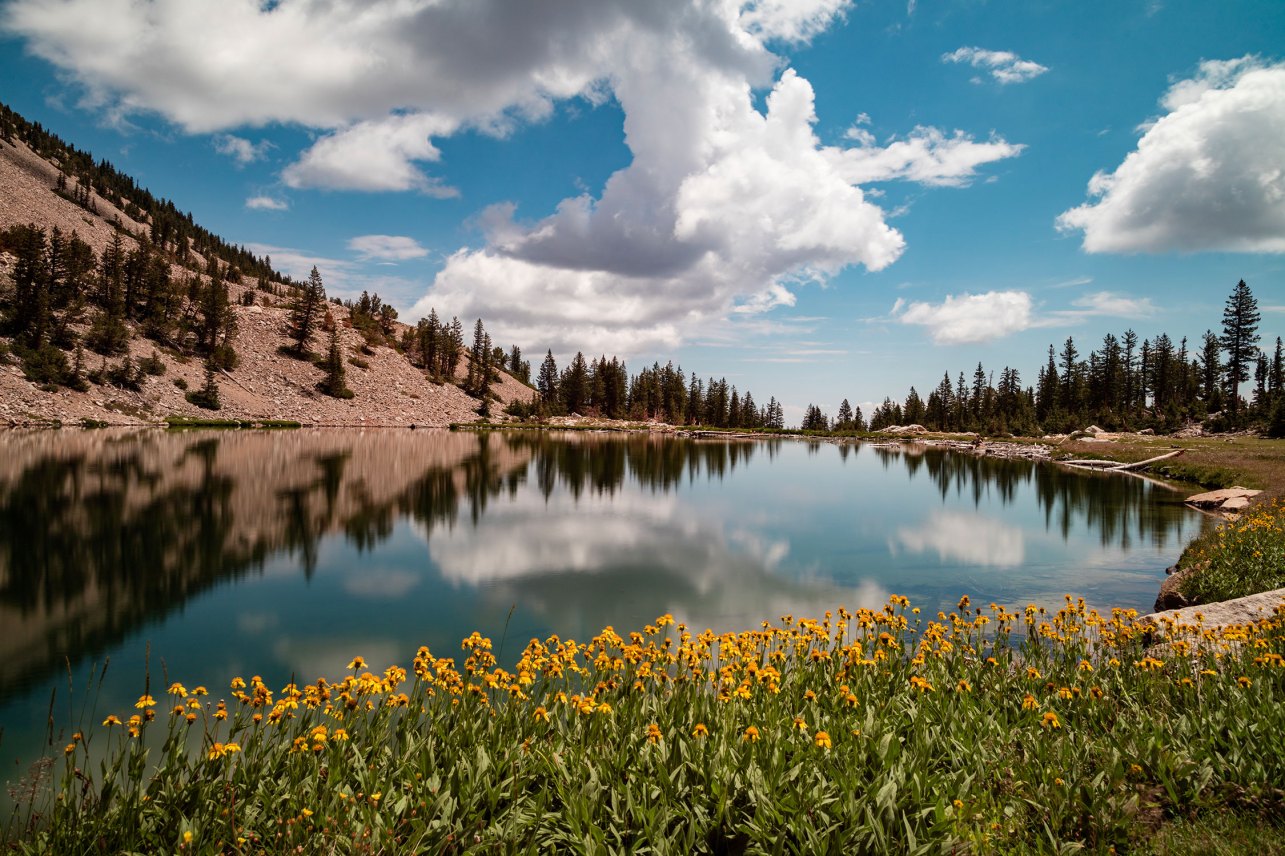 You Can Visit Your Favorite National Park for Free Next Week. Here's How.