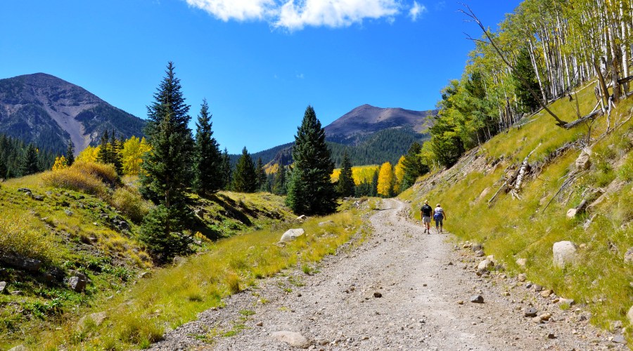 inner-basin-trail-coconino-national-forest-flagstaff-az