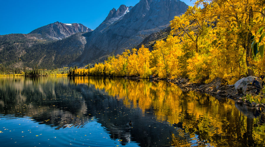 Great Fall Hikes: 15 Gorgeous Trails for Fall Foliage in the West ...