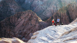 Hiking couple and dogs at Zion National Park, courtesy of Greater Zion Convention & Tourism Office