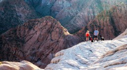 Hiking couple and dogs at Zion National Park, courtesy of Greater Zion Convention & Tourism Office