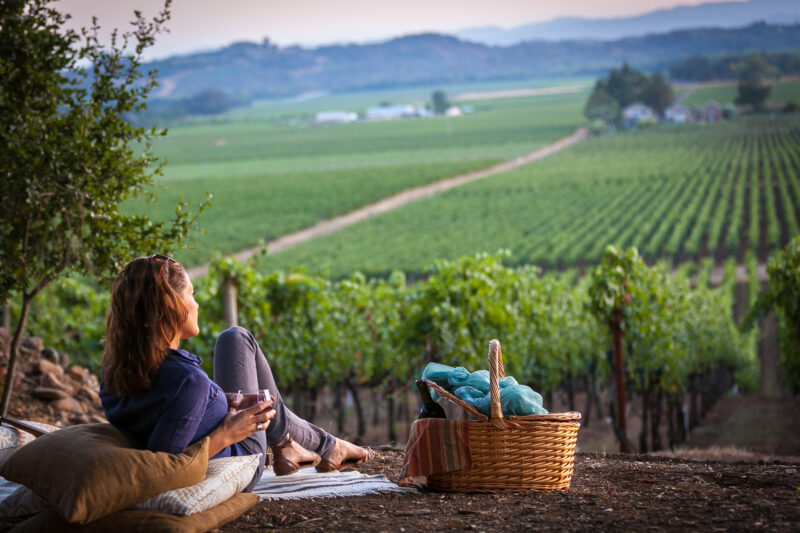 Wine Road Northern Sonoma County