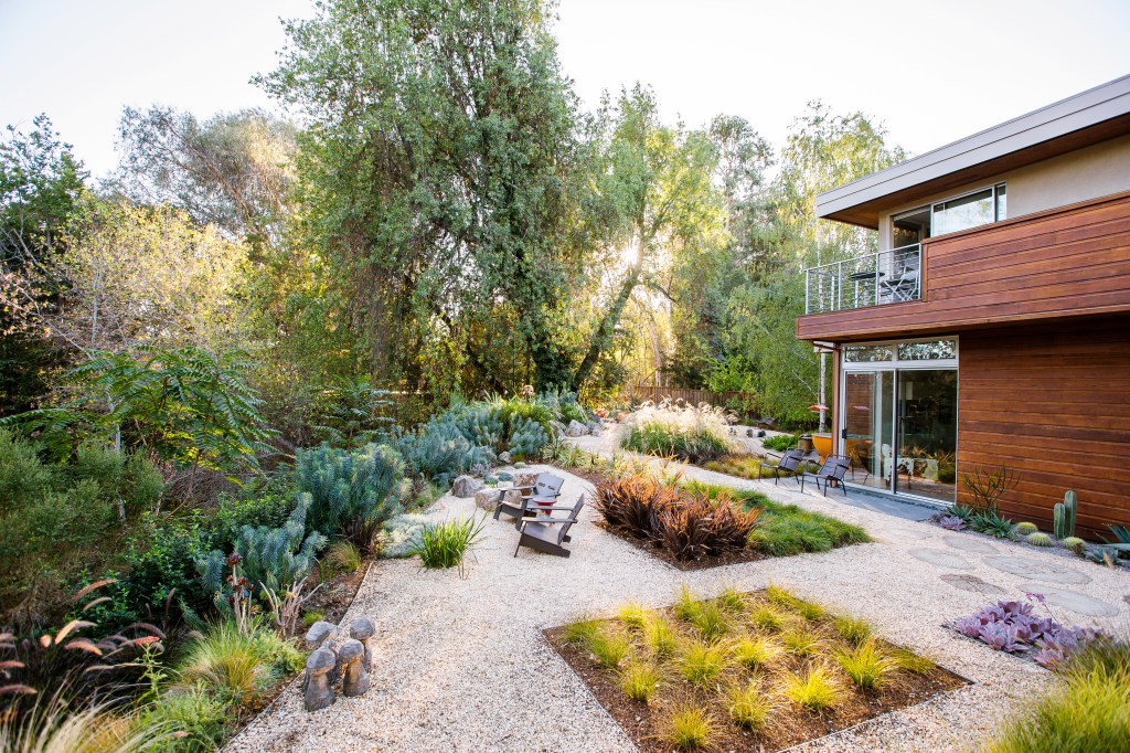 7 Strategies to Keep Your Plants Thriving in the Summer Heat