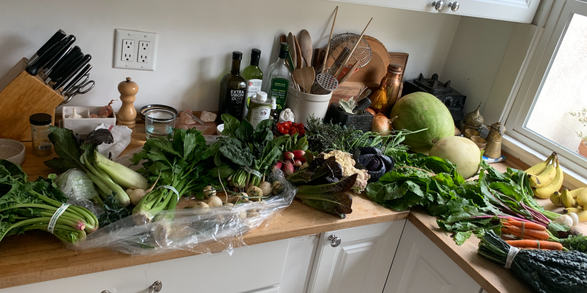 You’ll Follow the Seasons