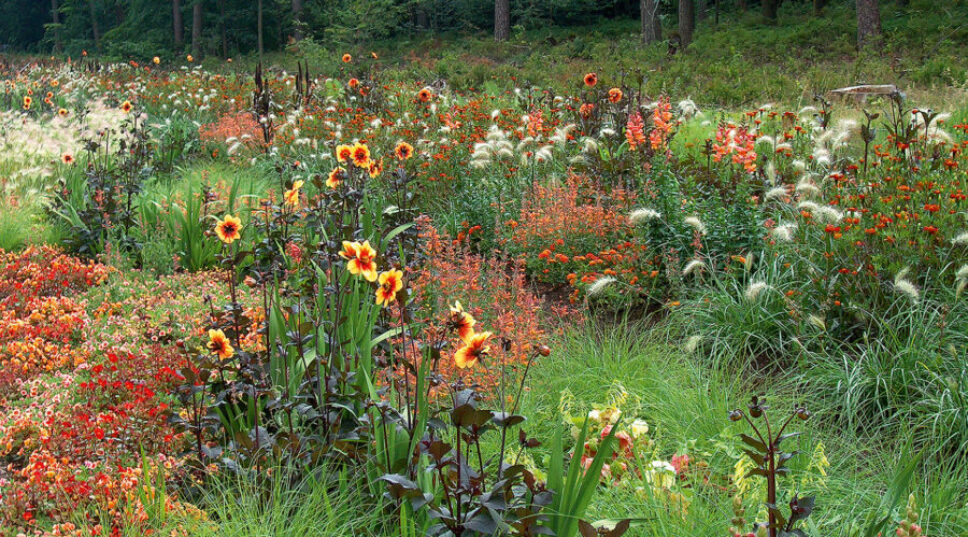 Fall Is Bulb Planting Season—Here's How to Guarantee a Successful Flower Garden