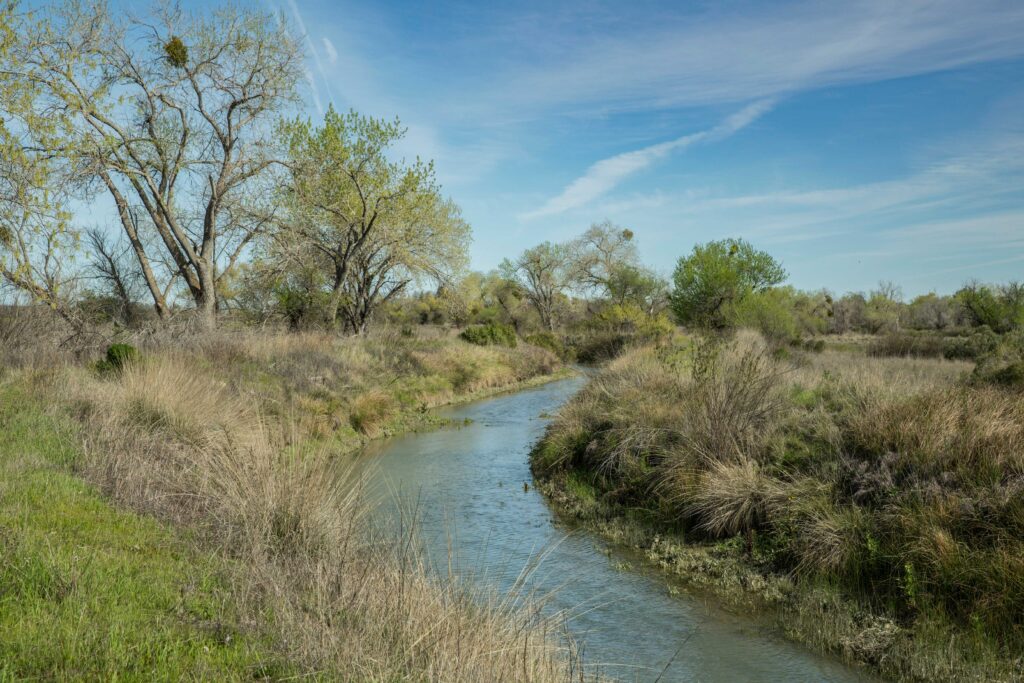 Erosion Control