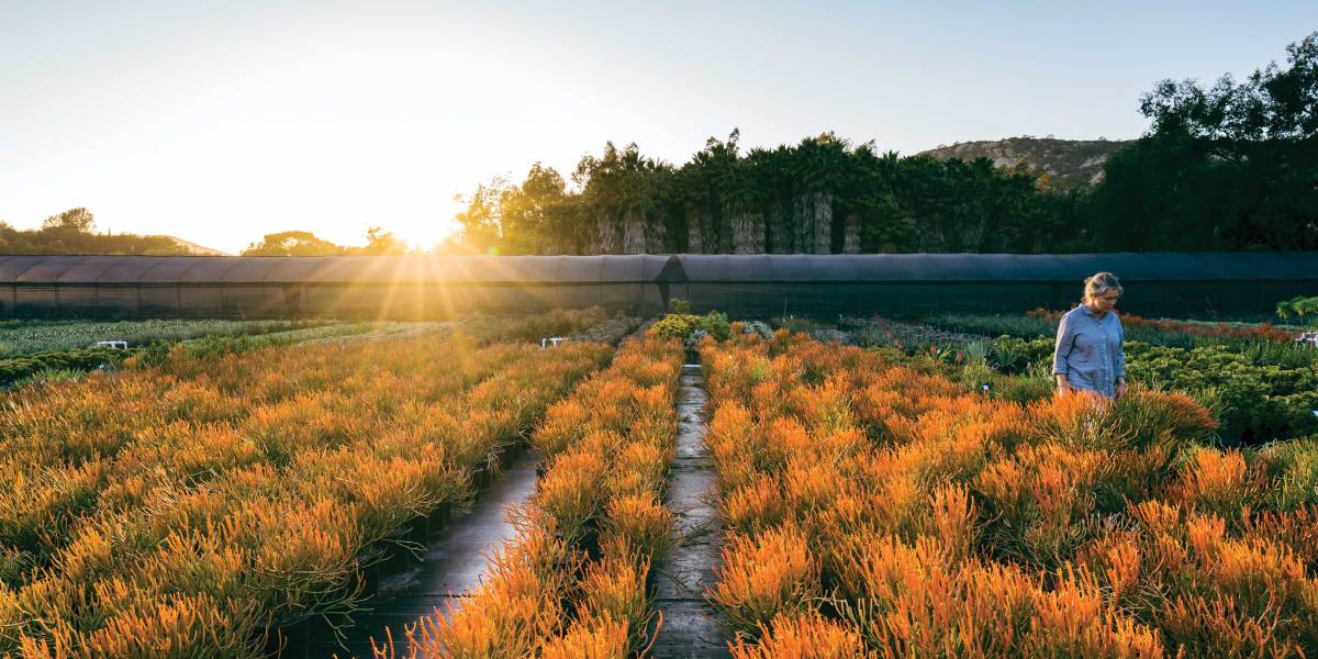 Flora Grubb in Her Garden