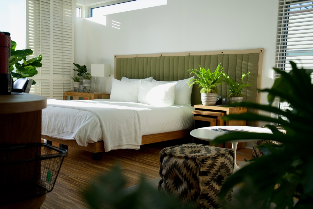 This Hotel Lets You Live out Your Houseplant Dreams