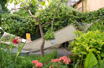 Hammock Backyard