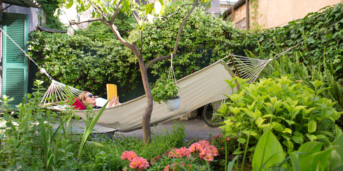 Hammock Backyard