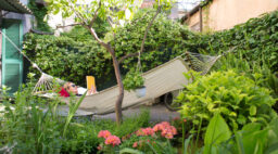 Hammock Backyard