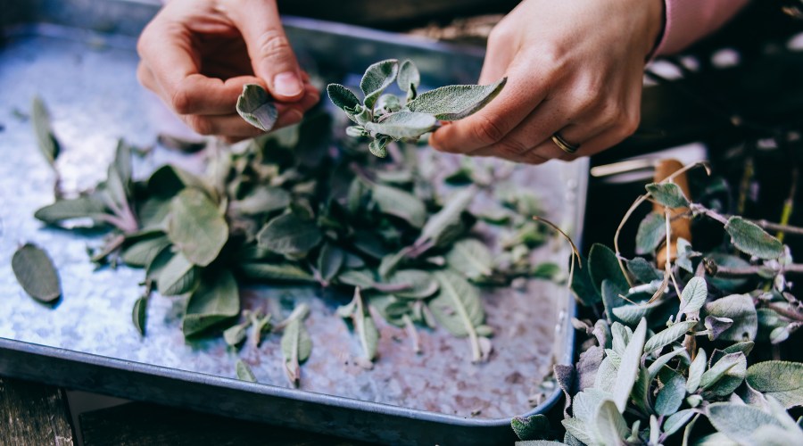 This Might Be the Best Way to Preserve Your Garden Harvest