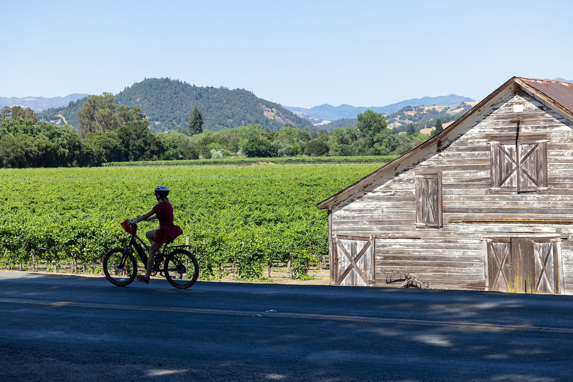 Healdsburg Westside Road