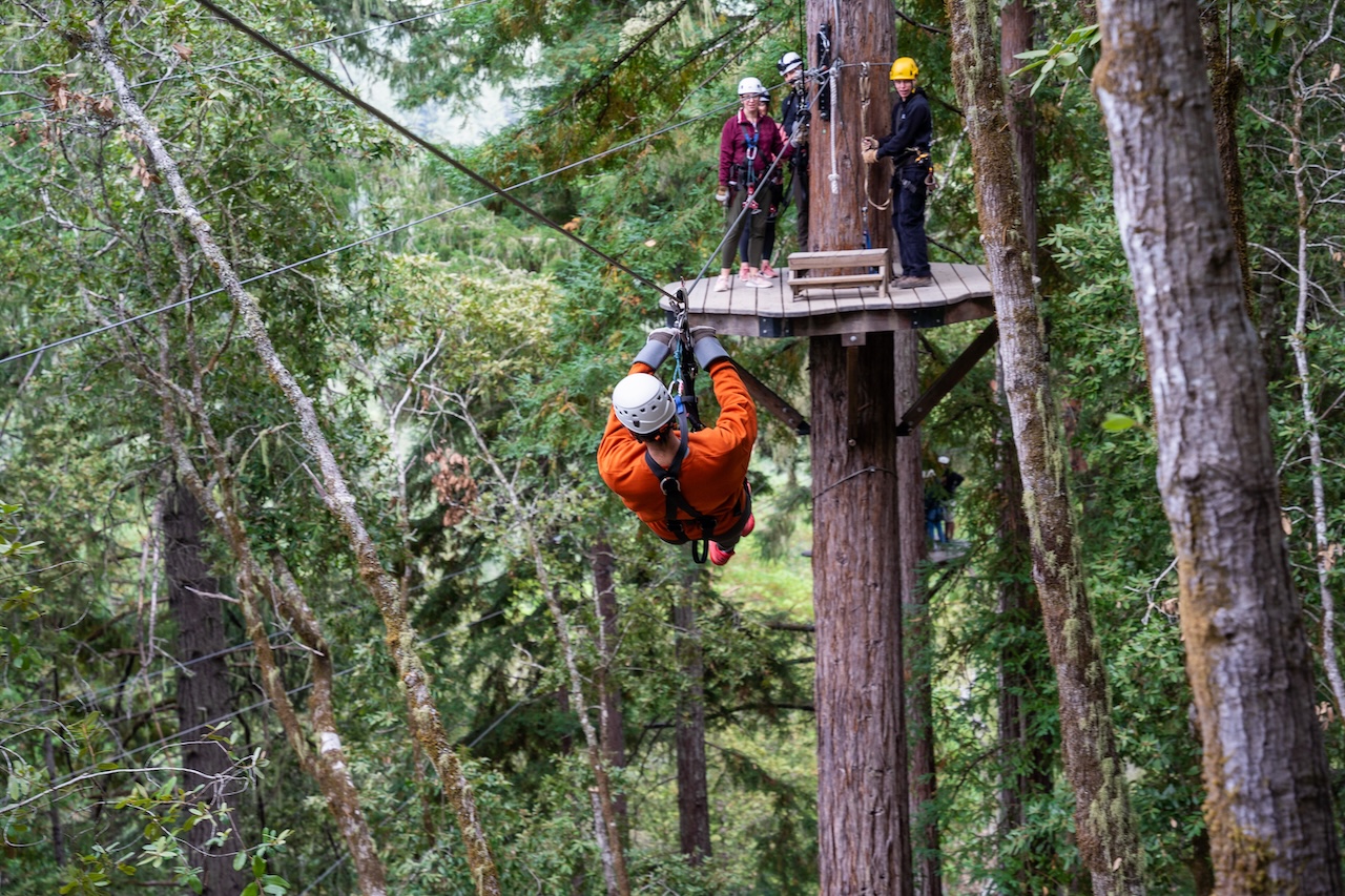 guest-on-our-tree-tops-course