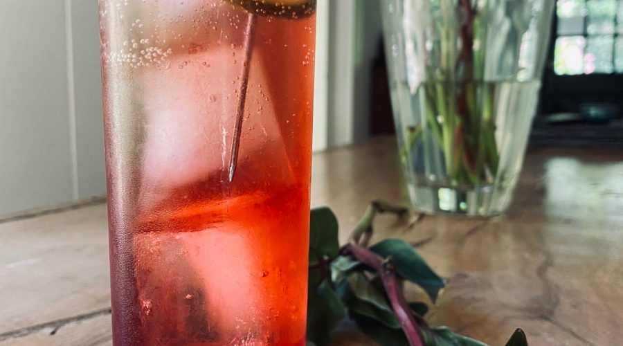 hibiscus cooler from hey sistah