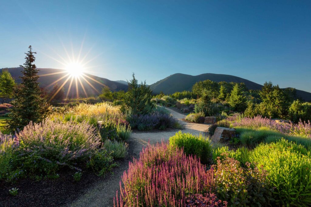 Sawtooth Botanical Garden Perennial Garden