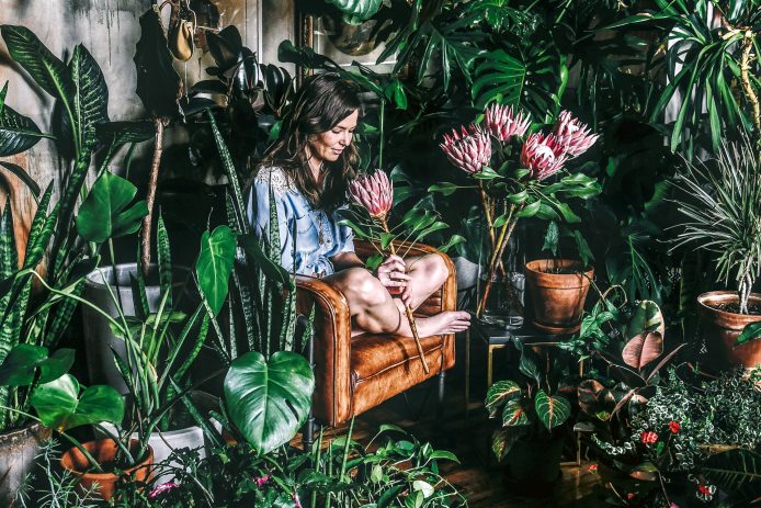 Abundant Houseplants Designed by Hilton Carter