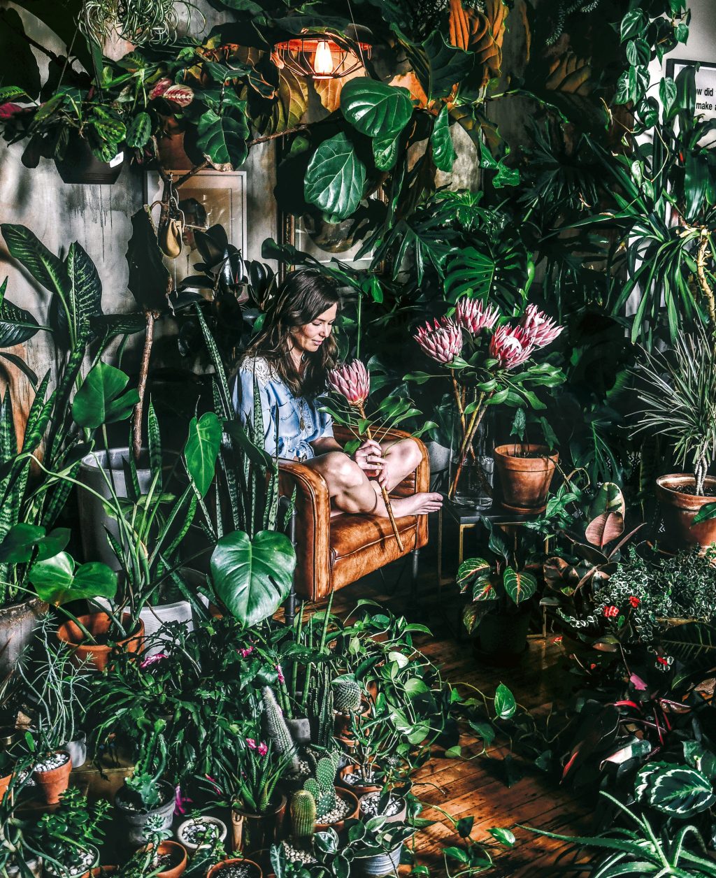 Therapy in a Terracotta Pot: Are Houseplants Good for Your Brain?