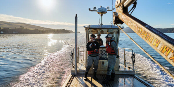 This Oyster Farm Should Be on Your California Bucket List