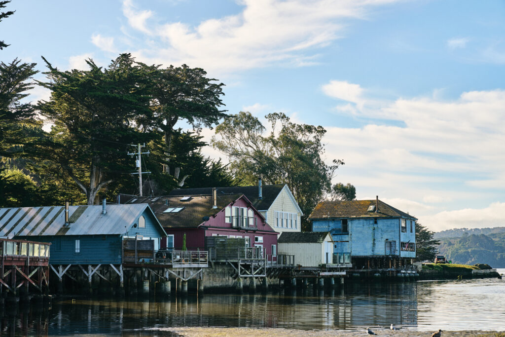 Tomales Bay Waterfront