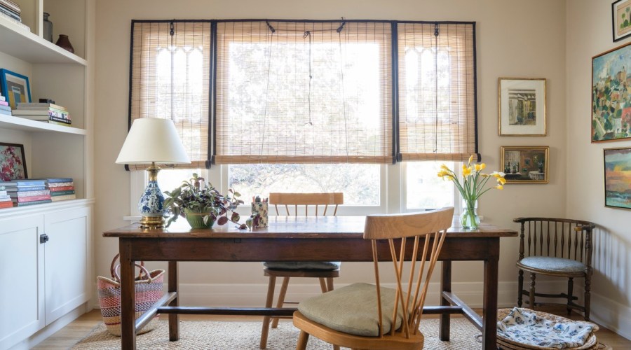 Mood-Boosting Desk Plants to Match Your Work-from-Home Personality