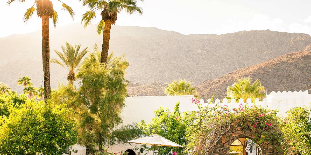 Palm Springs Honeymoon