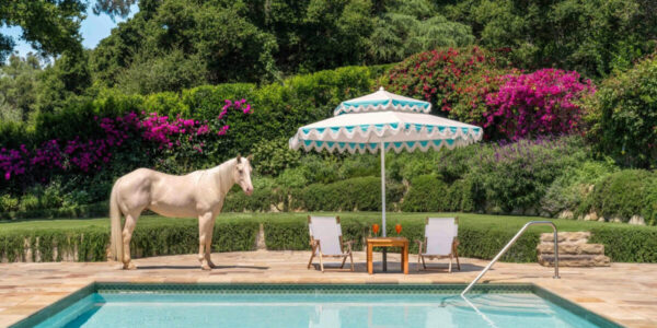 Animals Make an Unexpected Appearance at This Celebrity-Favorite Ranch