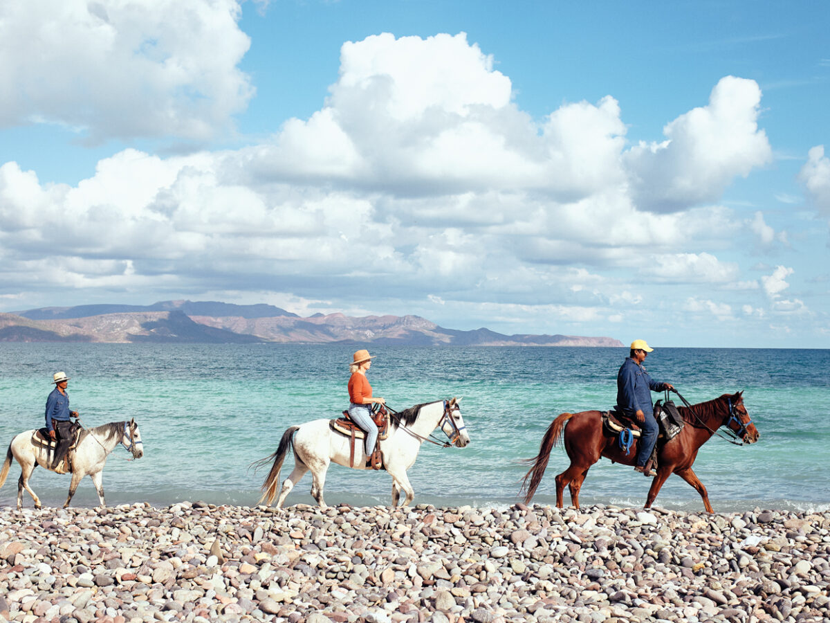 Horseback Riding Cerritos Beach Todos Santa Baja