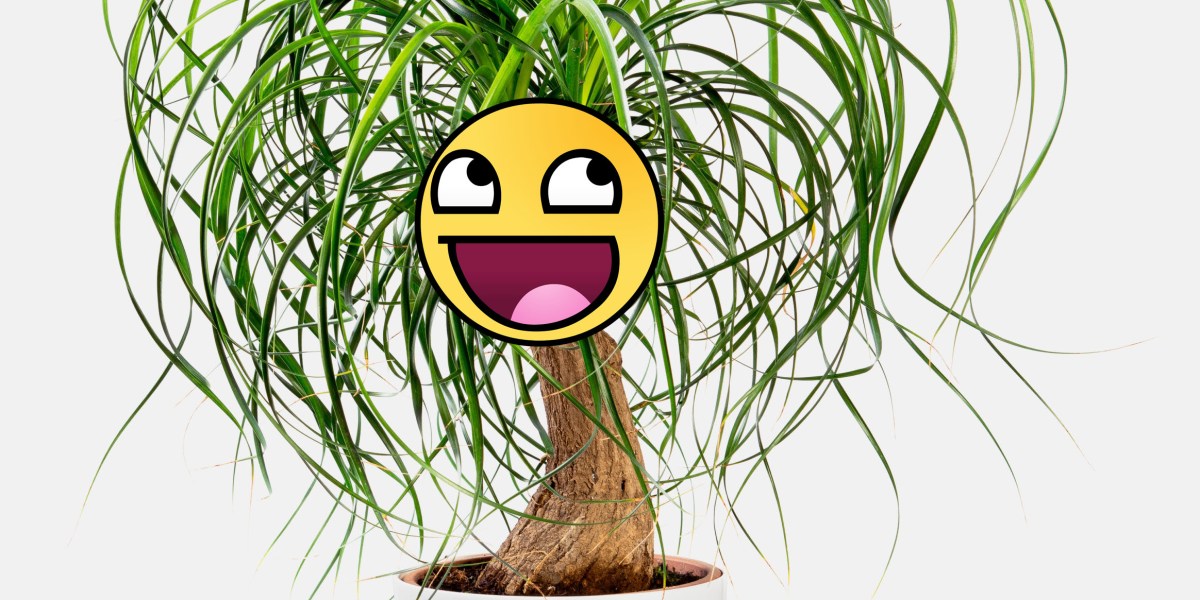 houseplant emoji