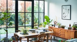 Houseplants in Dining Room