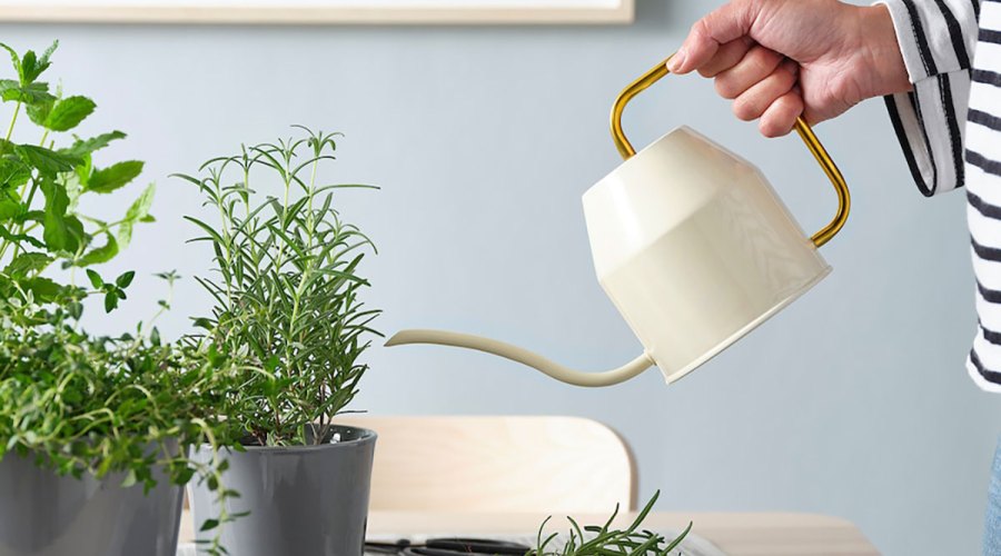 IKEA Makes the Most Beautiful Watering Can (And It's Only $15)