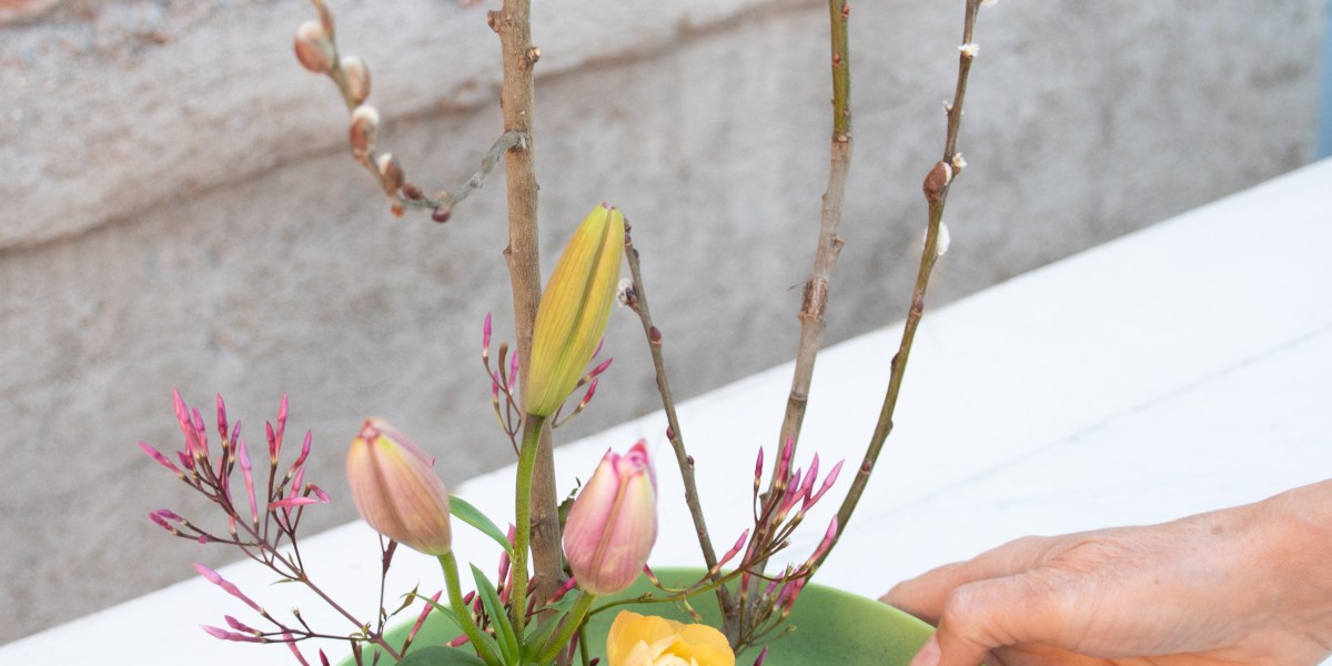 Flora Animalia Finished Ikebana Arrangement