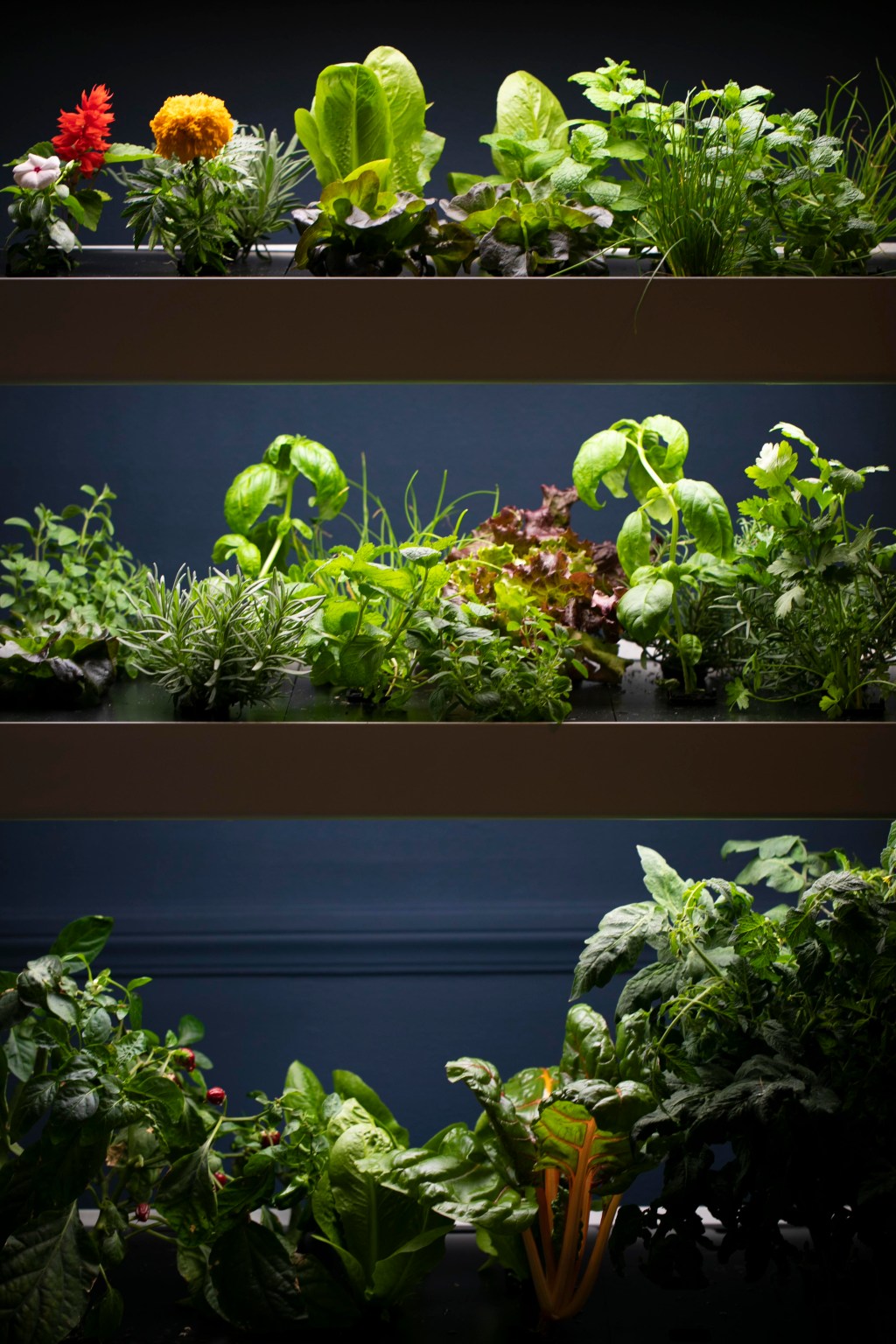 The Indoor Gardening Gear That Can Make Fresh Produce Happen All Year Long