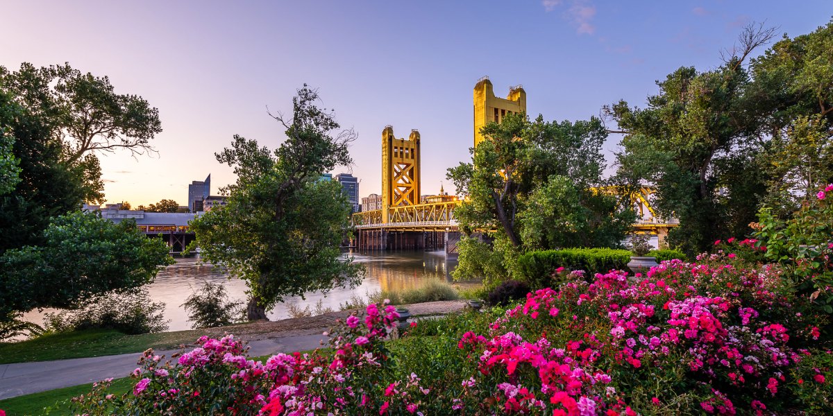 West Sacramento with Bridge