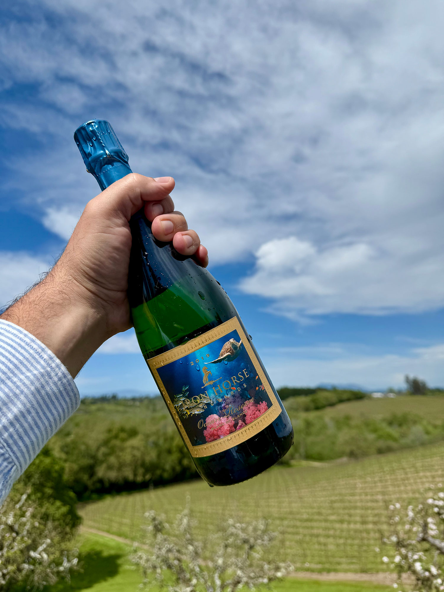 Iron Horse Vineyards 2019 Ocean Reserve Bottle