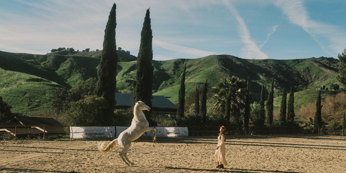 IRON Rodeo Horse on Hind Legs