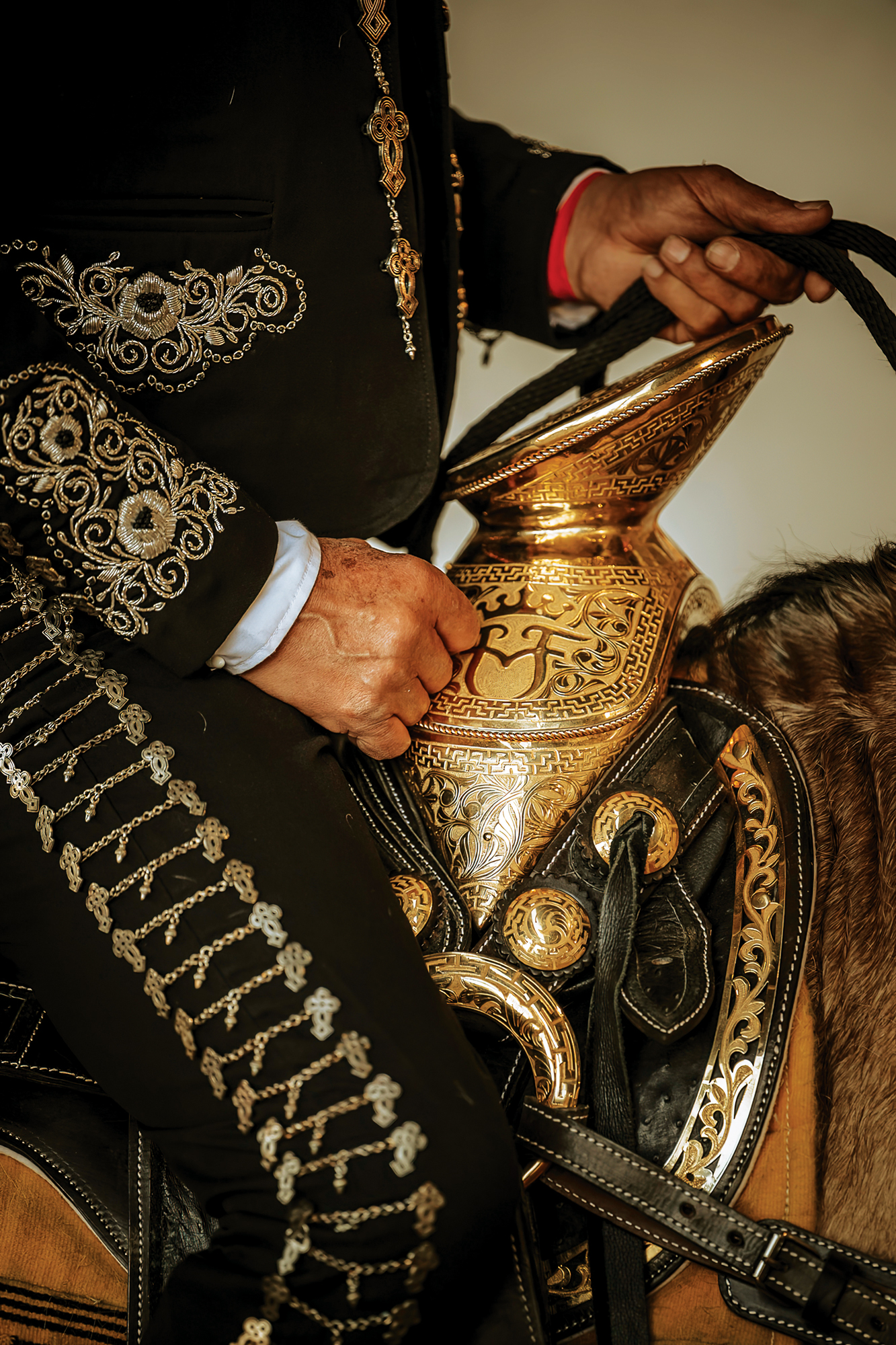 IRON Rodeo Saddle Detail