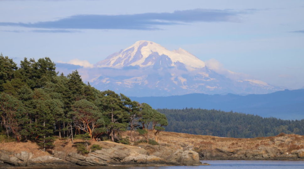 Find Wine, Whales, and Water Adventures in Washington’s Scenic Puget Sound