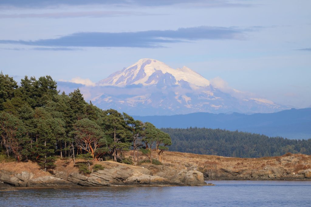Find Wine, Whales, and Water Adventures in Washington’s Scenic Puget Sound